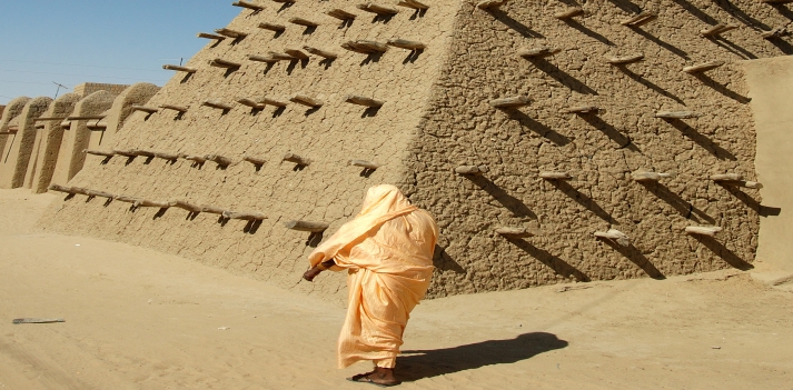 Mali - Timbuctu e la terra dei Dogon 