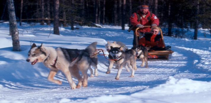 Finlandia - In compagnia degli husky tra foreste innevate 2