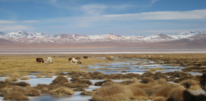Viaggio in Bolivia con Carla Perrotti
