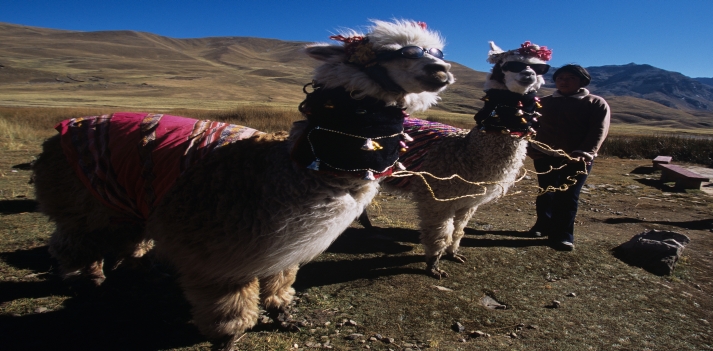 Viaggio in Peru' con Azonzo Travel  3