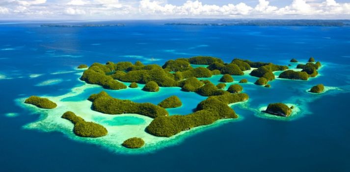Palau -  La nazione micronesiana dalla flora e fauna pi&ugrave; ricche della regione