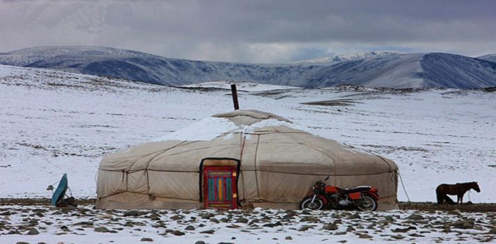 Viaggio in Mongolia in occasione del Festival dei Cammelli  2