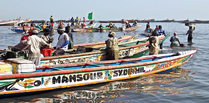 Viaggio in Senegal e Guinea Bissau con Azonzo Travel