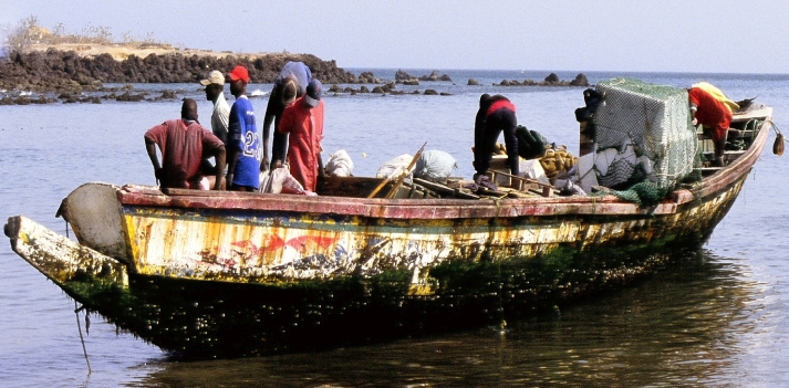 Senegal - Cultura e natura: dall&rsquo;isola di Gor&eacute;e a Saint Louis passando dal suggestivo Lago Rosa. 4