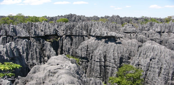 Madagascar - Un viaggio fra baobab, lemuri e natura lussureggiante