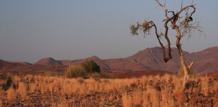Viaggio in Zambia, Namibia e Botswana