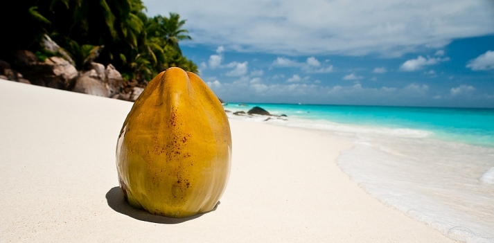 Seychelles - Un viaggio da sogno, per gli sposi che amano rilassarsi al mare 