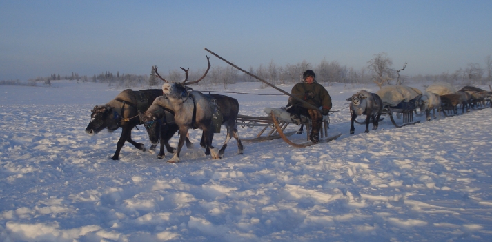Viaggio in Siberia fra i popoli Nenet, con Azonzo Travel  2