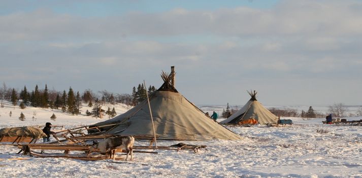 Viaggio in Siberia fra i popoli Nenet, con Azonzo Travel 