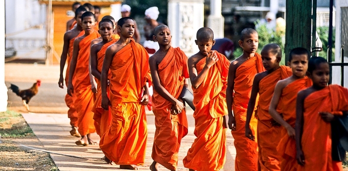 Sri-Lanka - Tra antiche citt&agrave; in rovina, dagoba, templi e piantagioni di t&egrave;