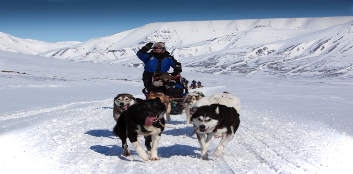 Svalbard (Norvegia) - Indimenticabile safari a bordo di slitte trainate da cani