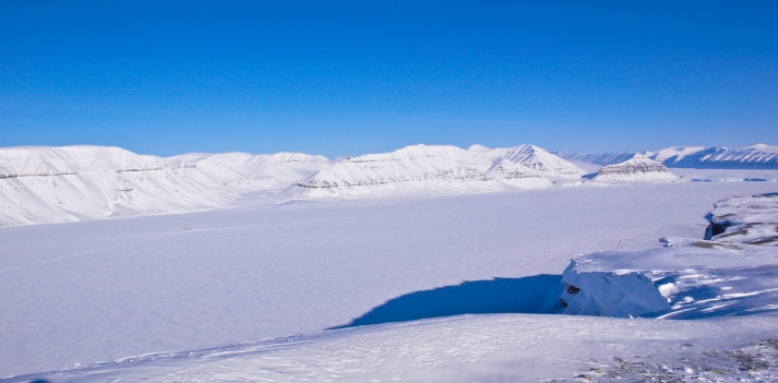 Azonzo alle Isole Svalbard (Norvegia) 2