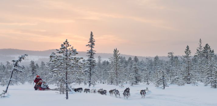 Viaggio in Svezia per trascorrere il Natale in Lapponia  4