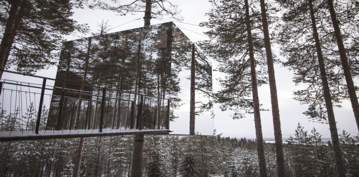 Viaggio invernale nella Lapponia svedese con soggiorno al Tree hotel 