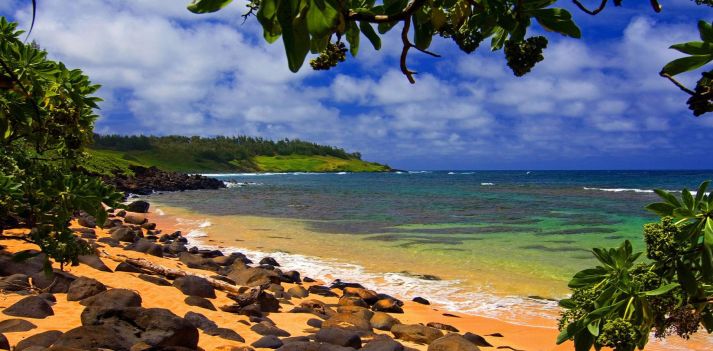 Hawaii - Un tour delle isole per gli sposi amanti della natura