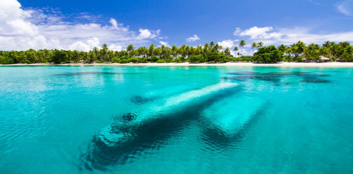 Isole Marshall - Un angolo di paradiso in Micronesia 