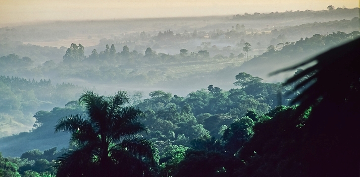 Brasile - La foresta amazzonica e l&rsquo;arcipelago fluviale di Anavilhanas 4